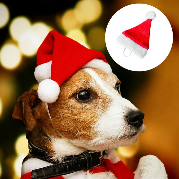 Details about   Mini Christmas Santa Hats For Pets
